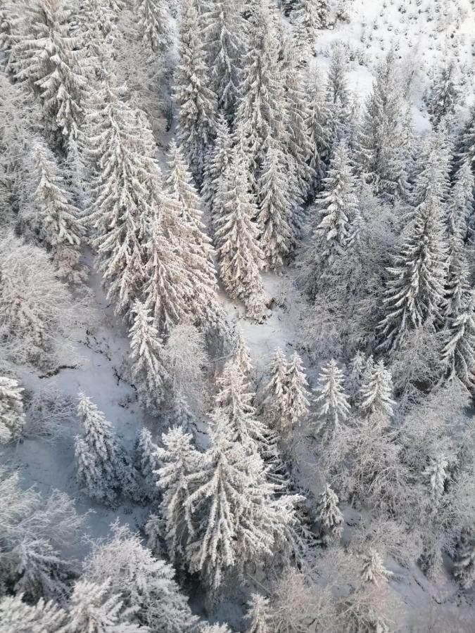 Montepart Zillertal Hainzenberg Exterior foto